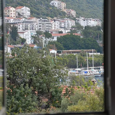 Alloggio in famiglia Yali *